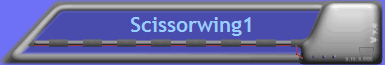 Scissorwing1